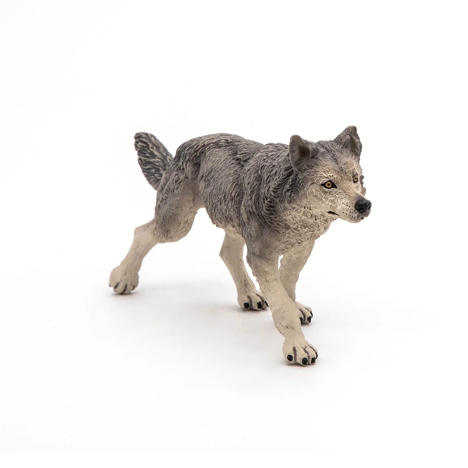 Grijze Wolf - Image 7