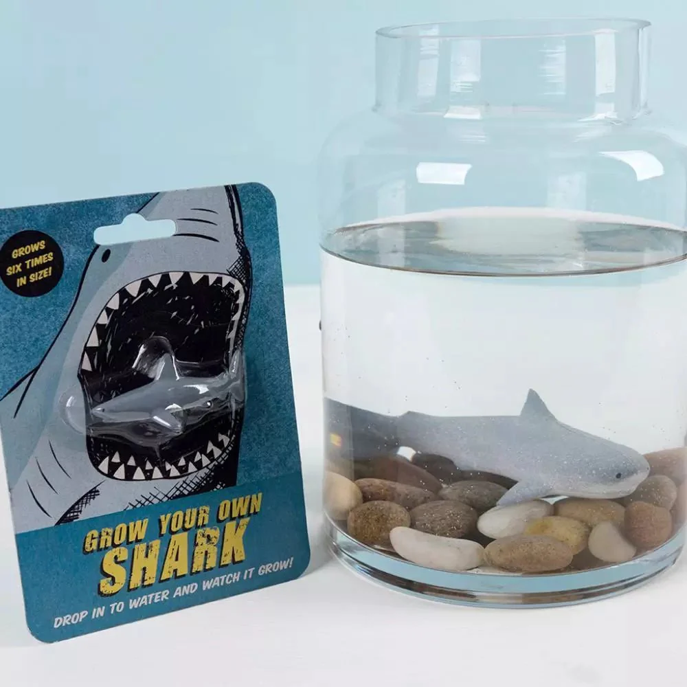 Grow your own shark - Image 2