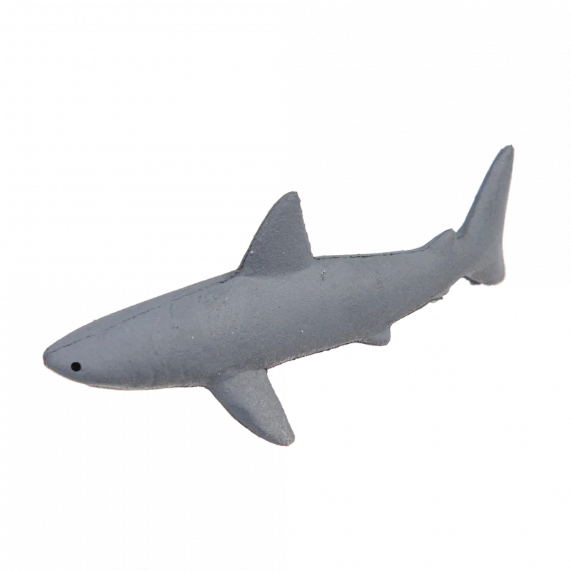 Grow your own shark - Image 4