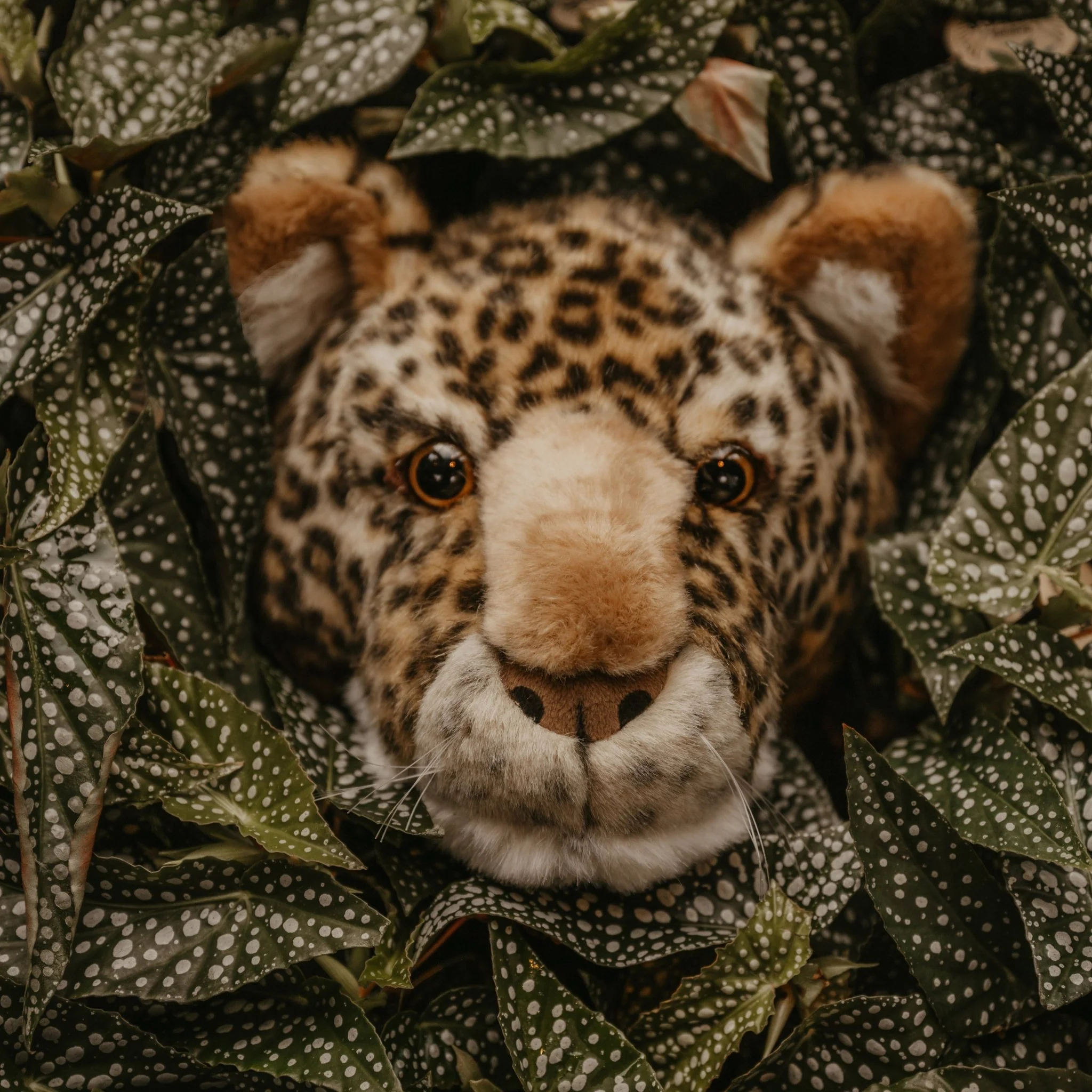 Pluche Dierenhoofd Animal Head Medium Leopard Charlie - Image 2