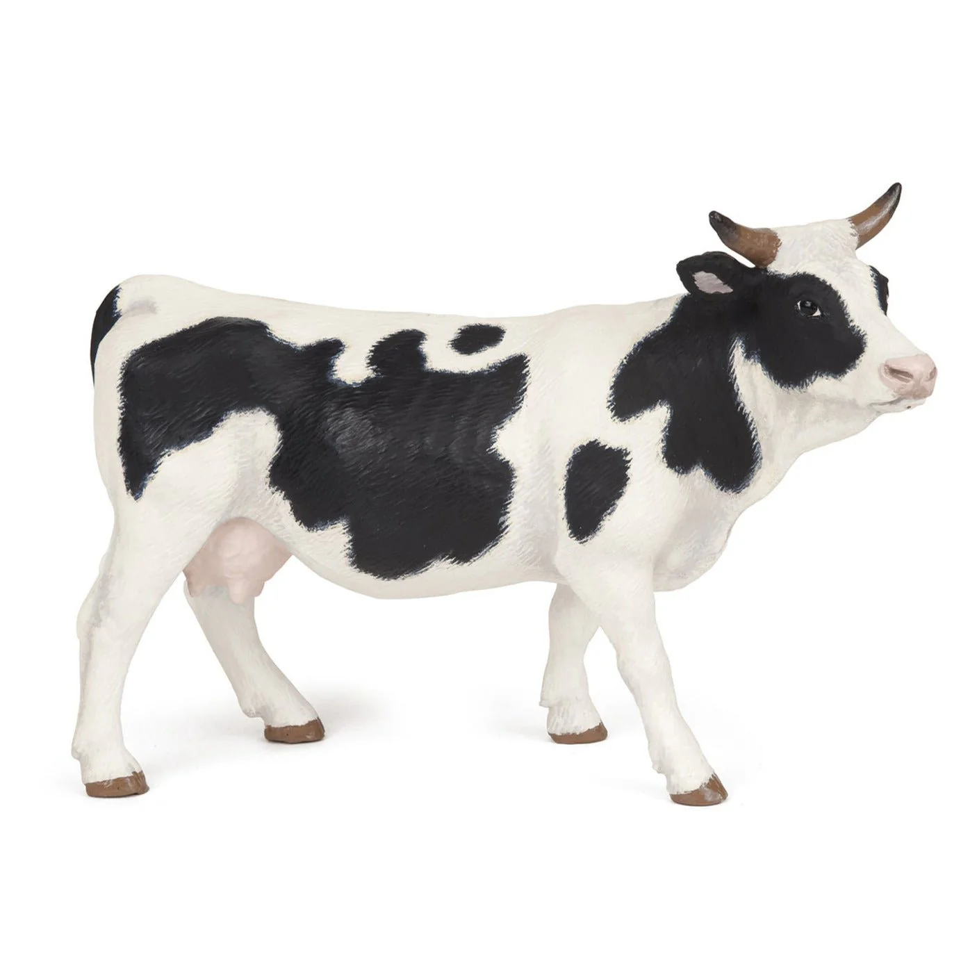 Holstein Koe