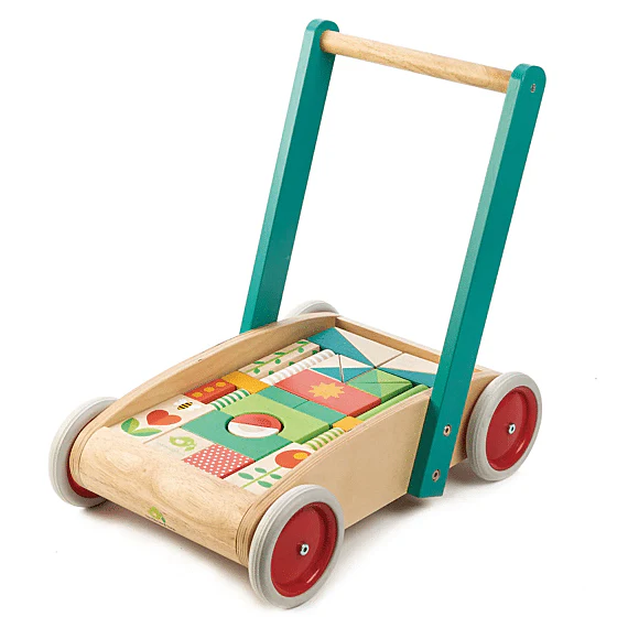 Houten Loopwagen Met 29 Gekleurde Blokken - Tender Leaf Preschool - Image 7