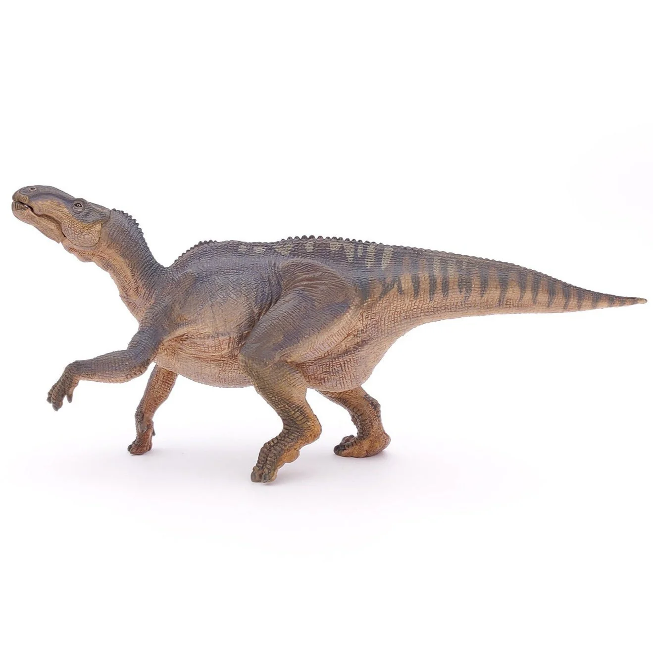 Iguanodon