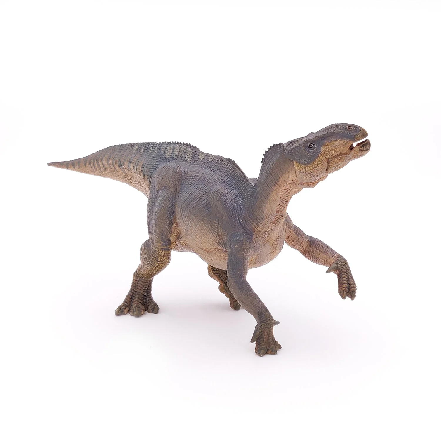 Iguanodon - Image 3