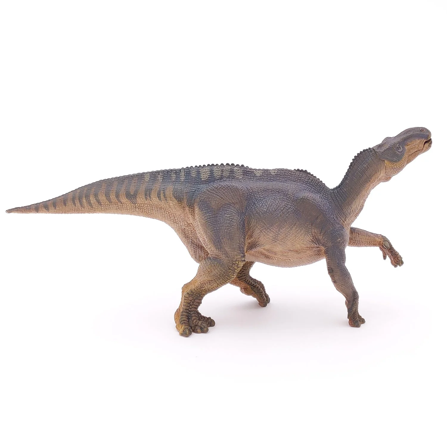 Iguanodon - Image 4
