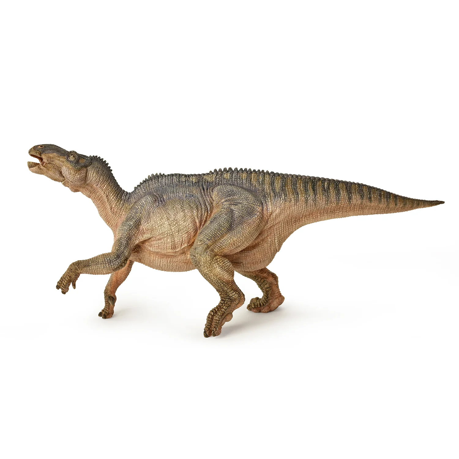Iguanodon - Image 5