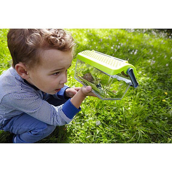 Insectendoos - Terra Kids - Image 2