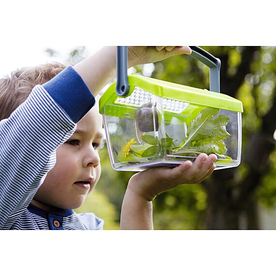 Insectendoos - Terra Kids - Image 3