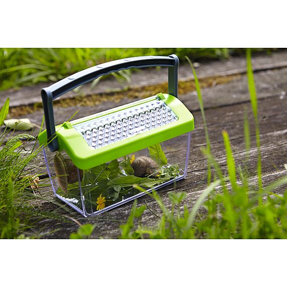 Insectendoos - Terra Kids - Image 4