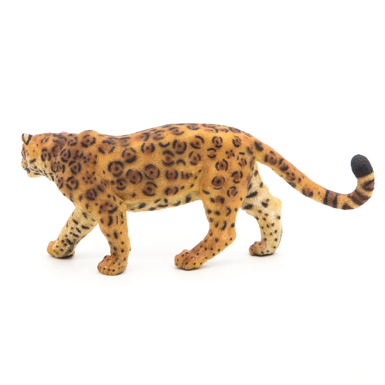 Jaguar - Image 3