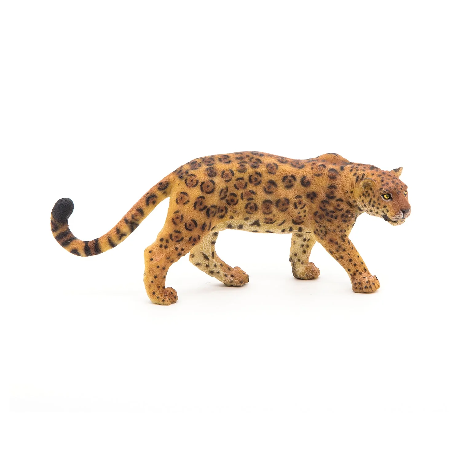 Jaguar - Image 4