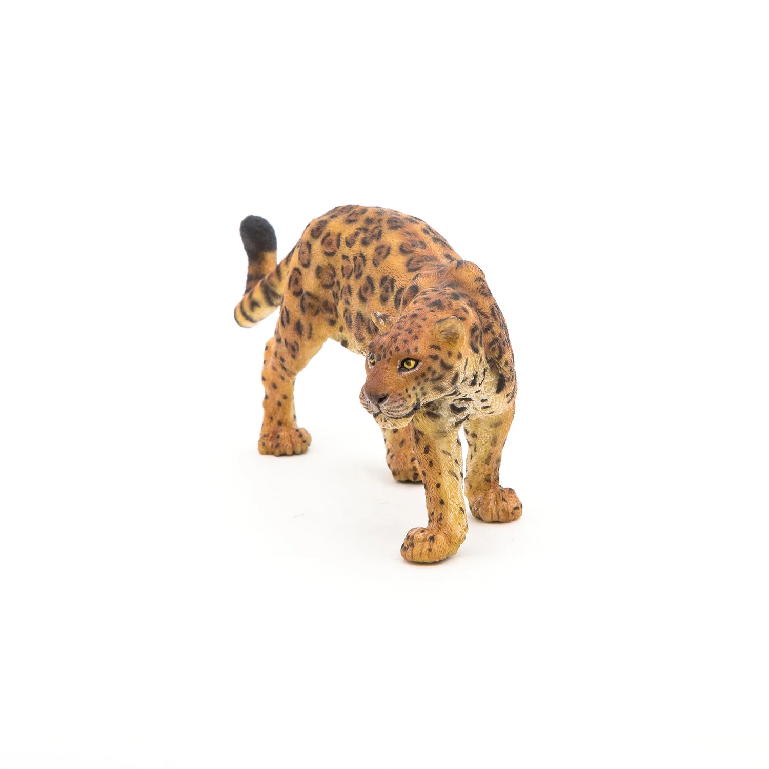 Jaguar - Image 5