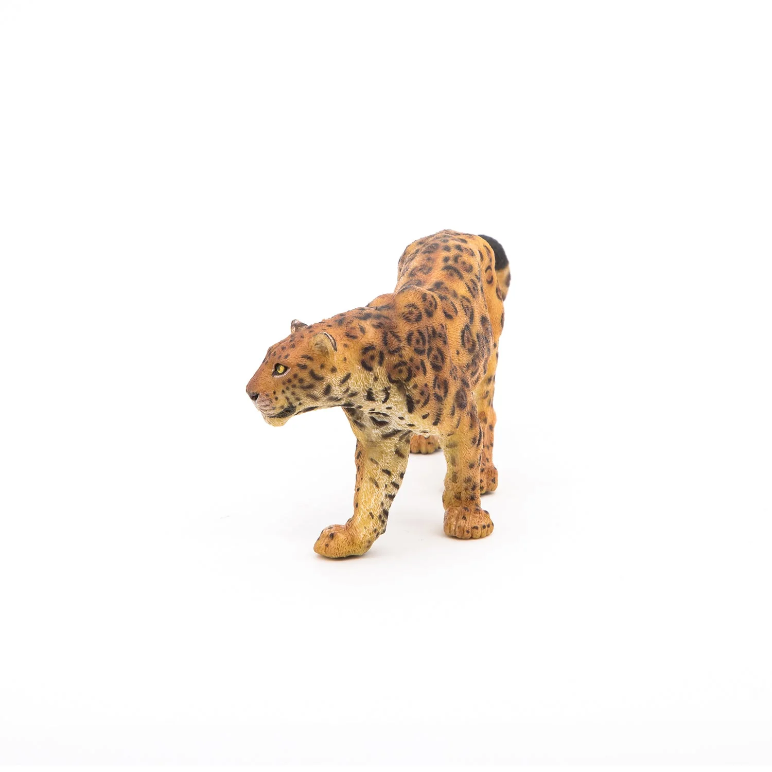 Jaguar - Image 6