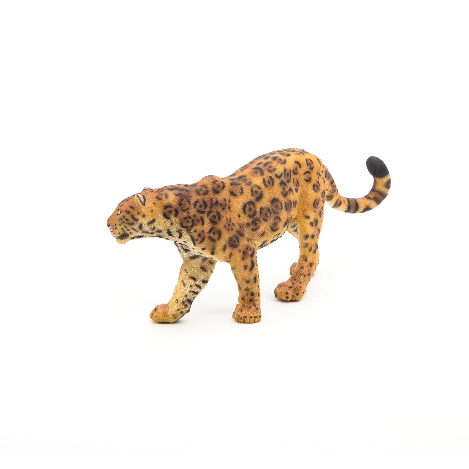 Jaguar - Image 7