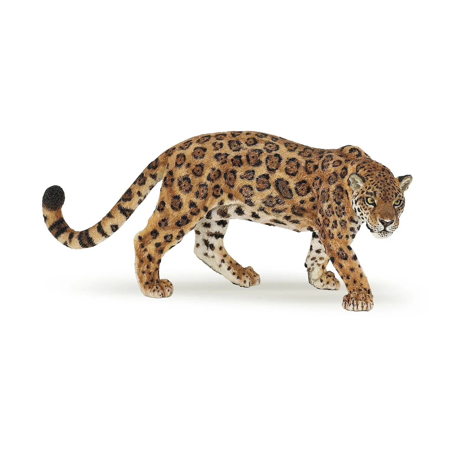 Jaguar - Image 8