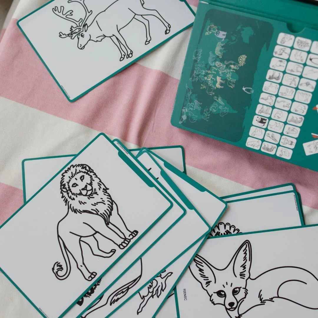 Tekentablet Kidydraw Mini - Dieren over de hele wereld - Image 5