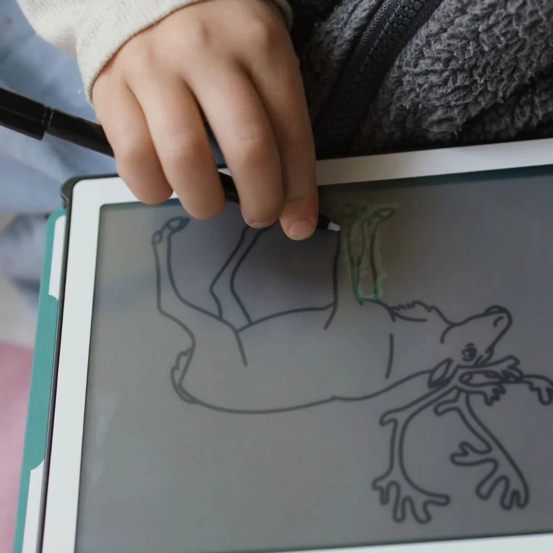 Tekentablet Kidydraw Mini - Dieren over de hele wereld - Image 7