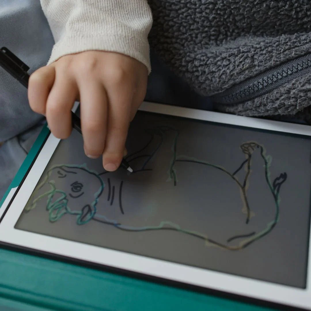 Tekentablet Kidydraw Mini - Dieren over de hele wereld - Image 8