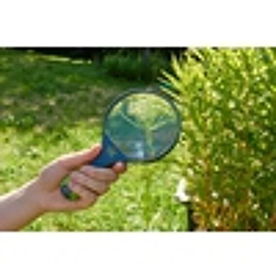 Kinderloep - Terra Kids - Image 3