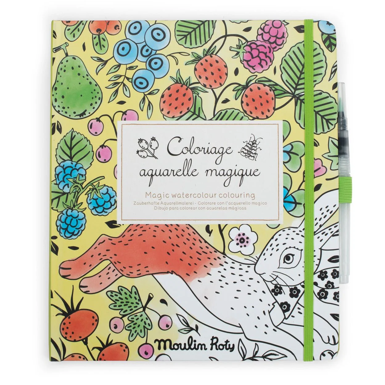 Kleurboek Magisch Aquarel Schilderen - Le Jardin du Moulin