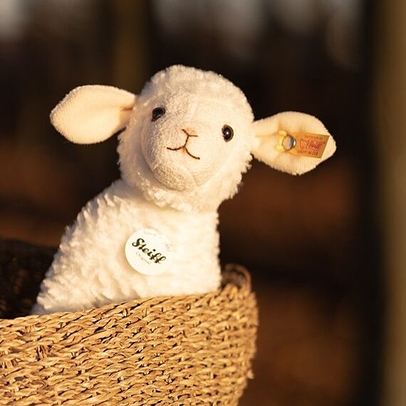 Knuffel Anni Lamb White - 16 cm - Image 2