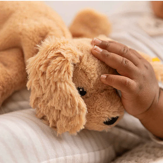 Knuffel Hond Soft Cuddly Friends Floppy Lumpi Dog Light Brown - 20 cm - Image 4