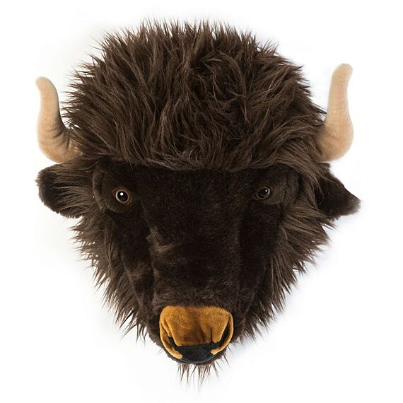 Kop Buffel Alex - Image 2