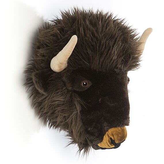 Kop Buffel Alex - Image 3