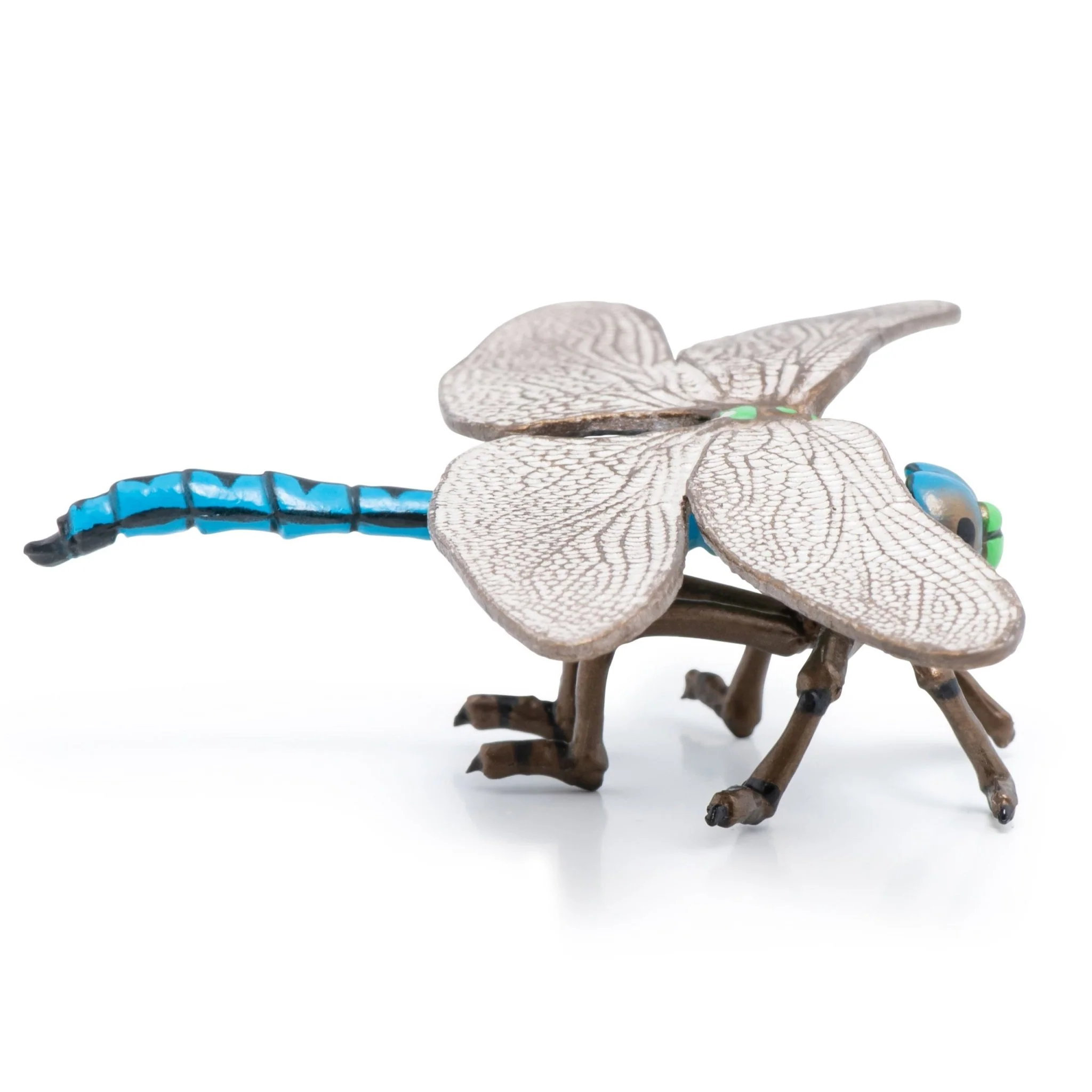 Libelle - Image 6