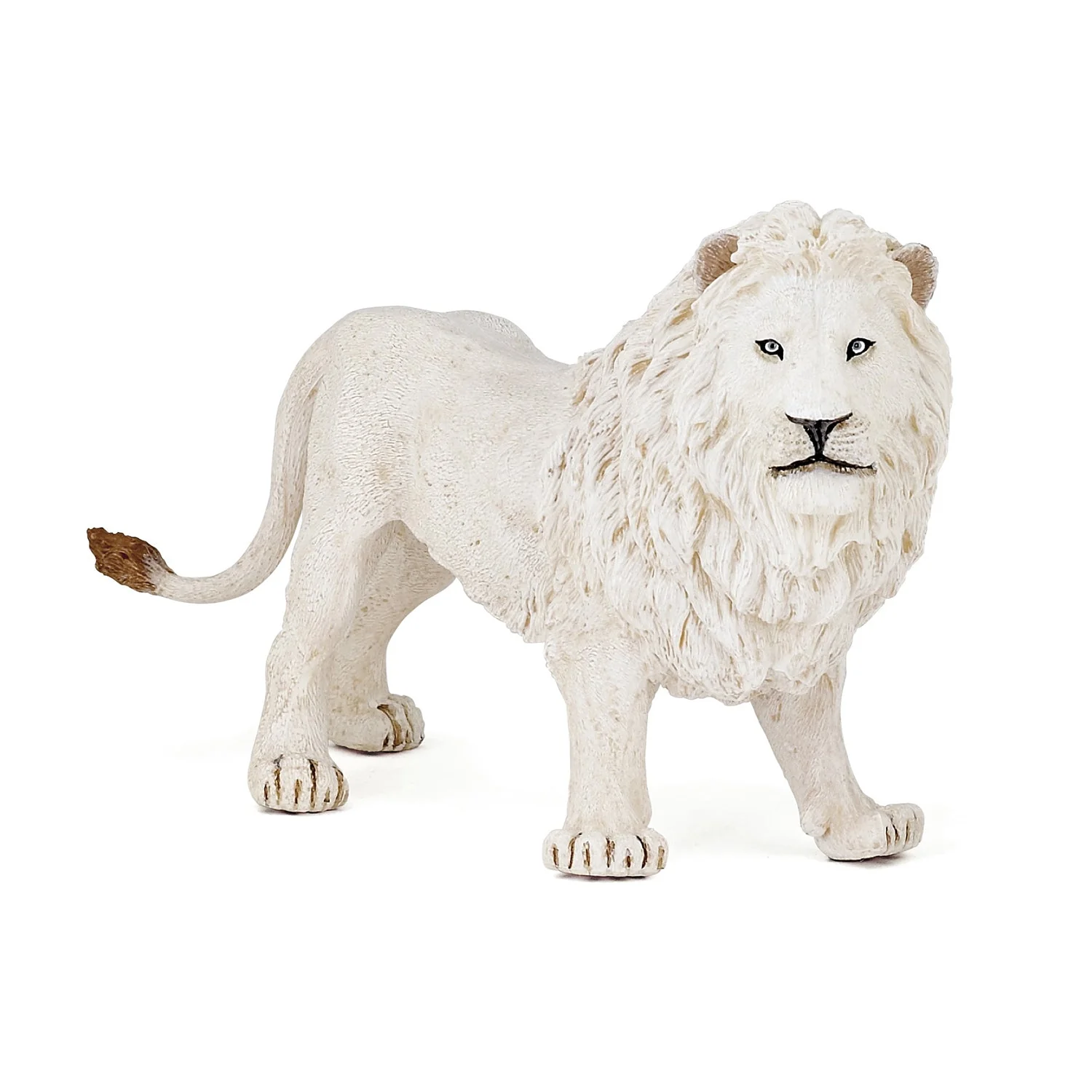 Witte leeuw - Image 7