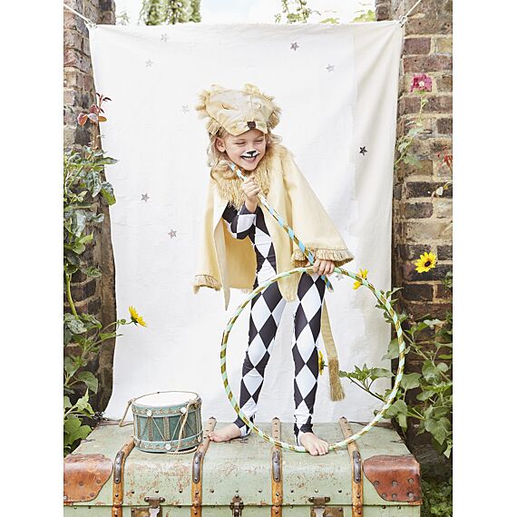 Lion Cape Dress Up - Image 2