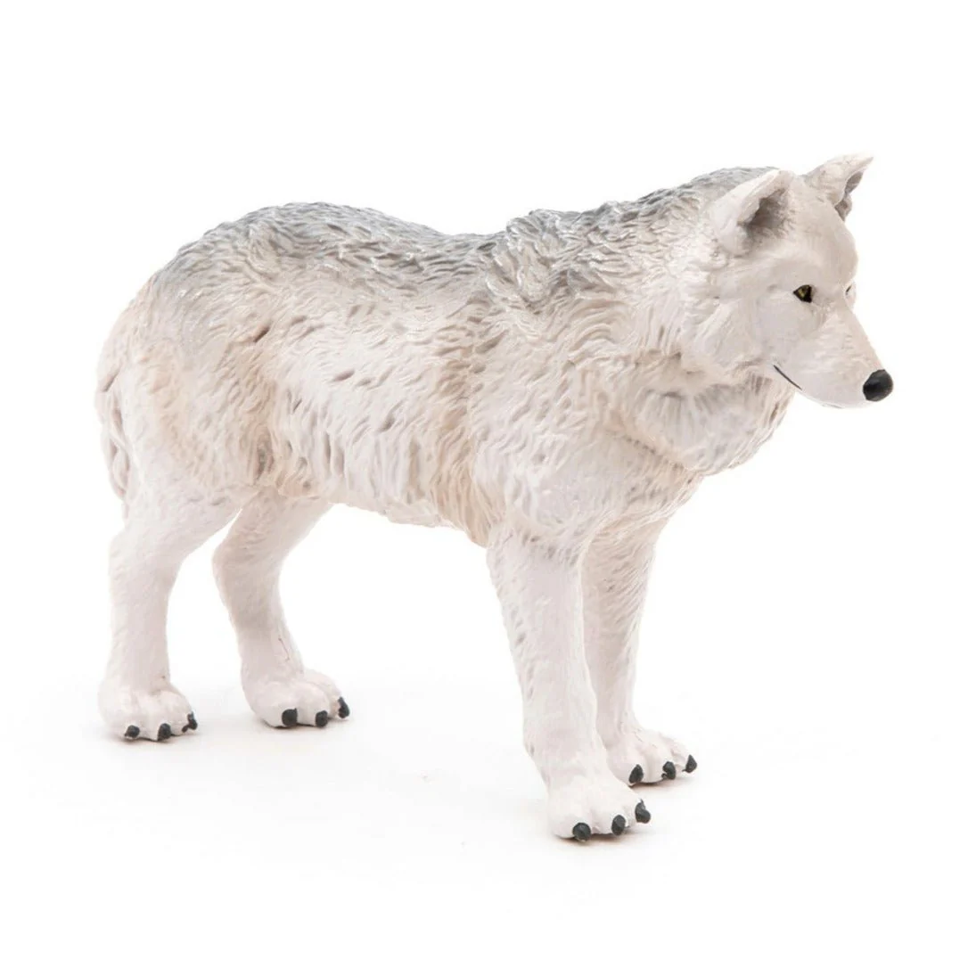 Pool Wolf