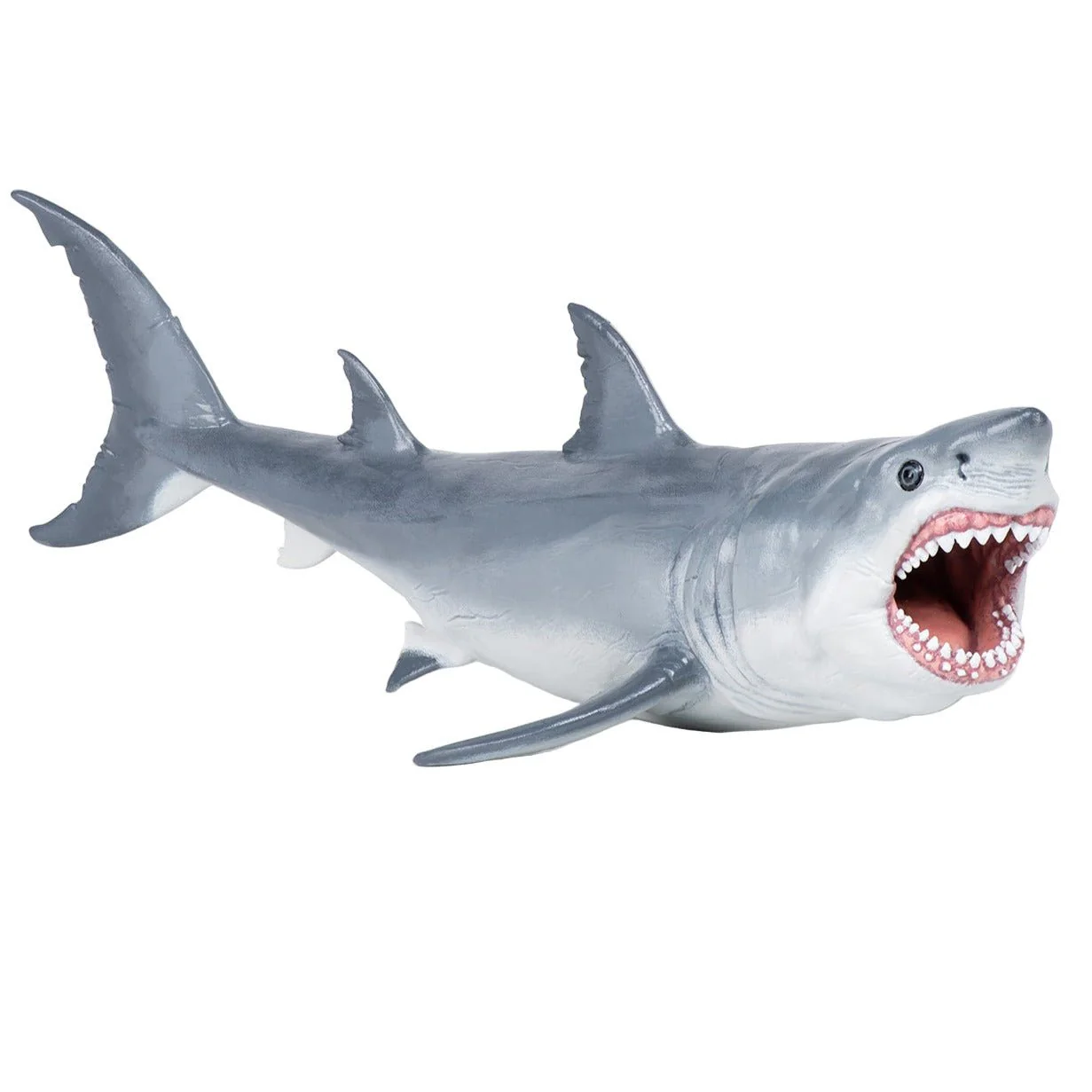 Megalodon