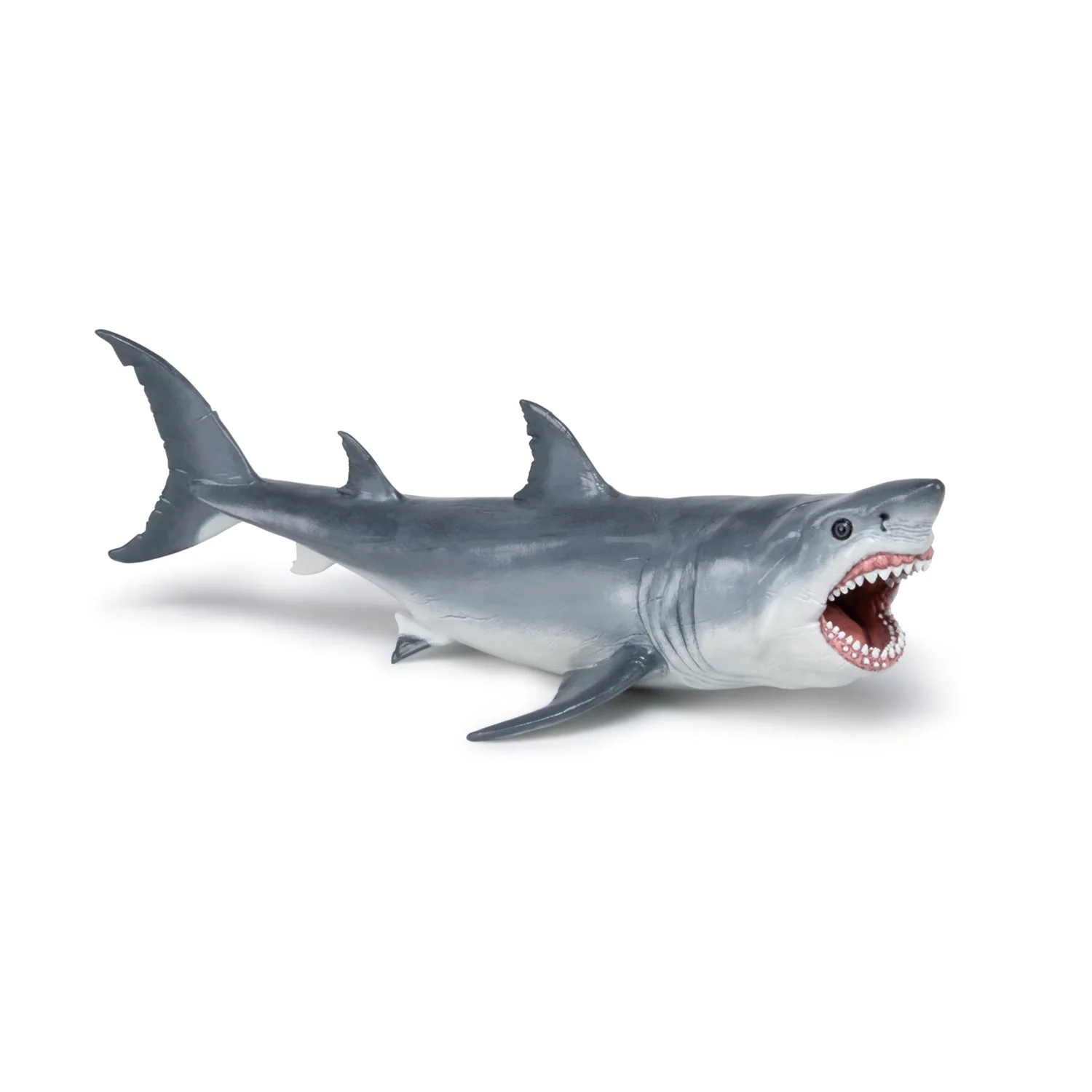 Megalodon - Image 4