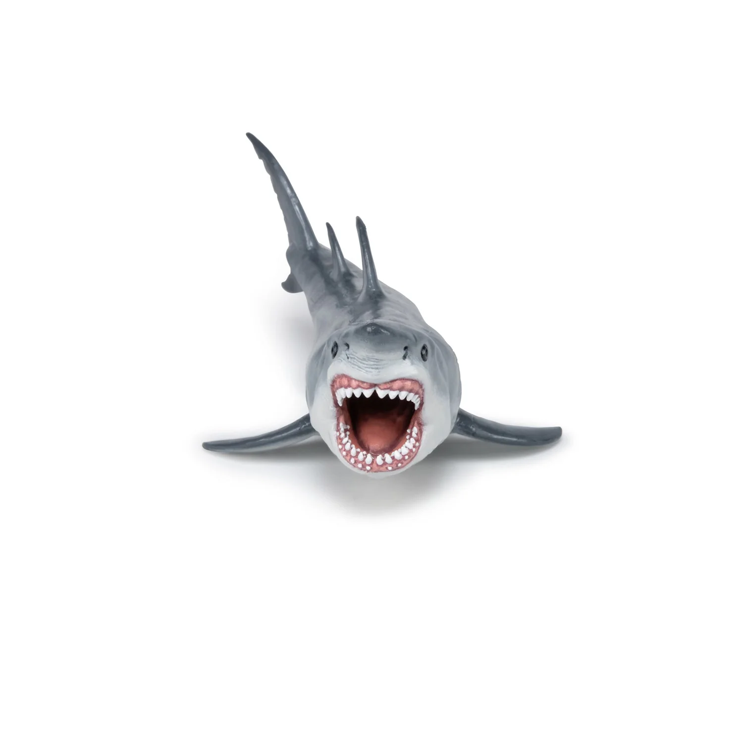 Megalodon - Image 5