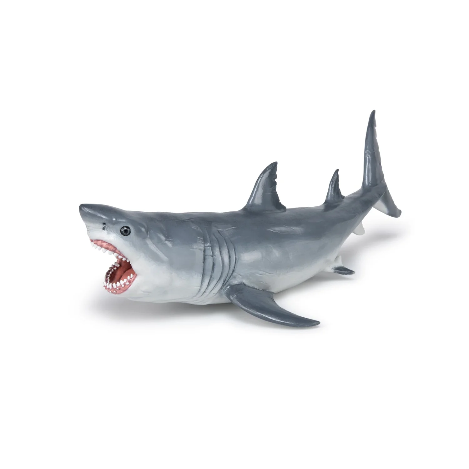 Megalodon - Image 6