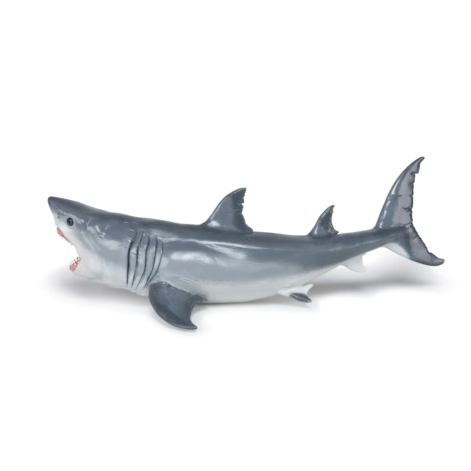Megalodon - Image 7