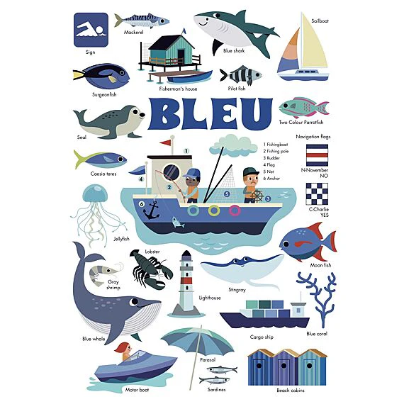 Mini Discovery Poster + 26 Stickers Sea - 3-8 Jaar - Image 4