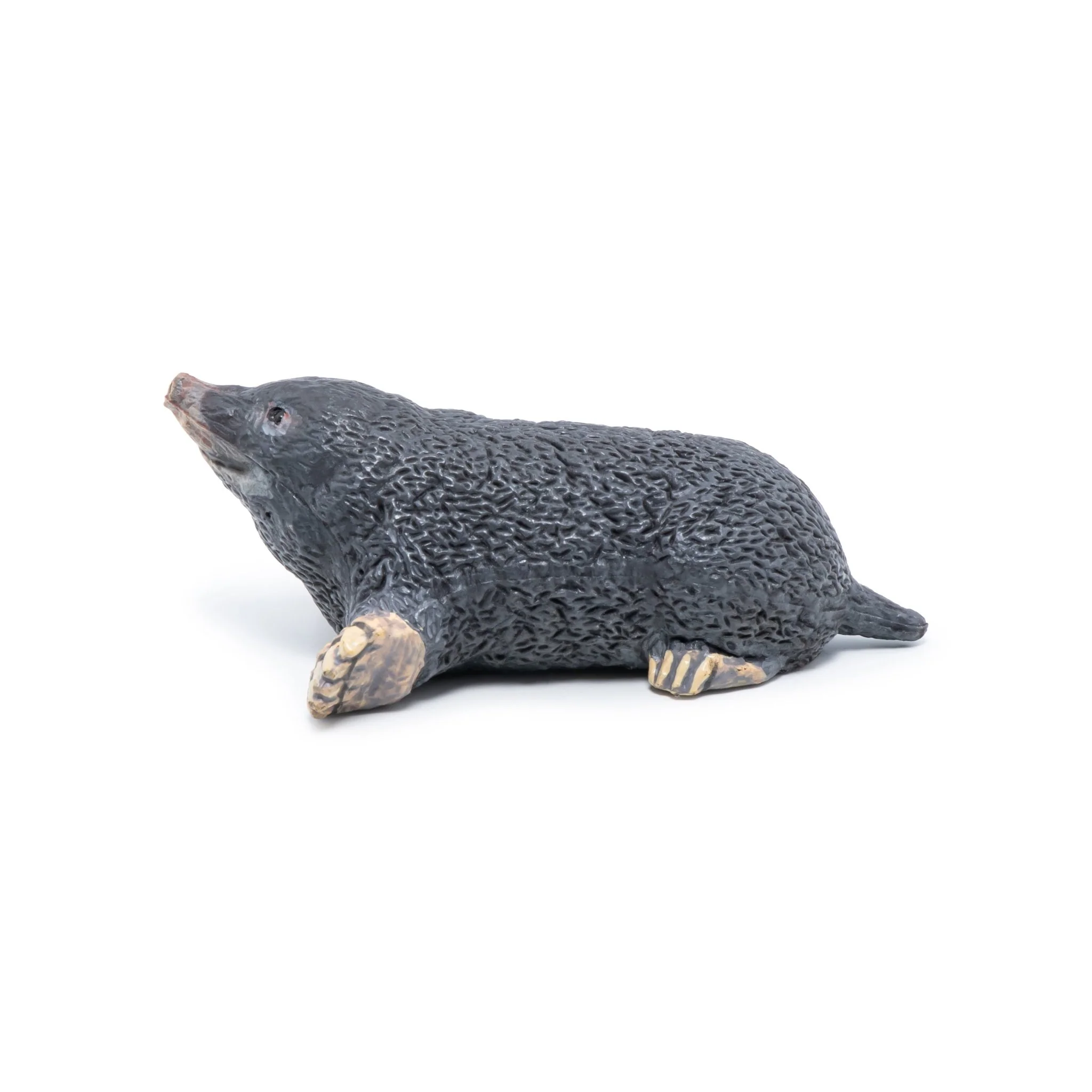 Mol - Image 6