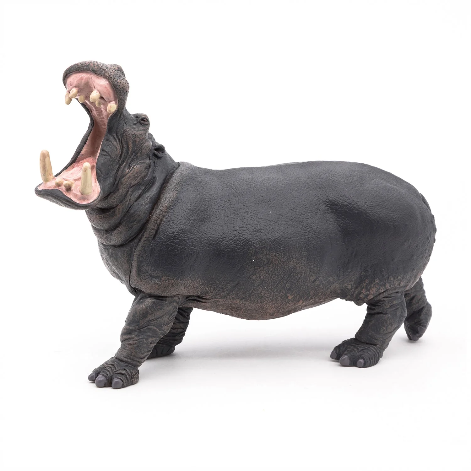 Nijlpaard