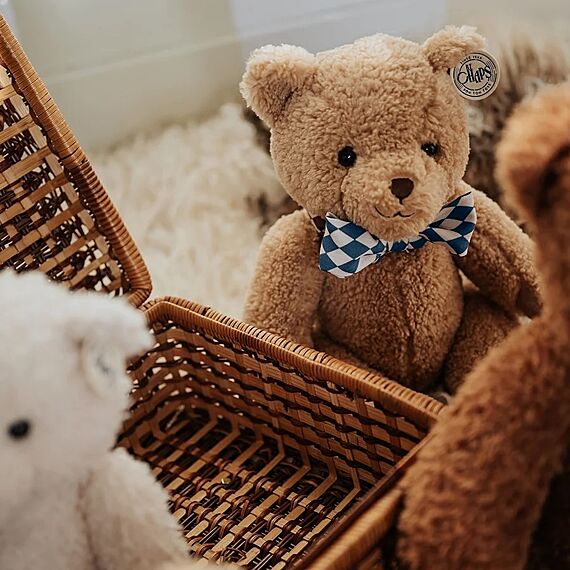 Norman The Snazzie Bear  - 32 cm - Image 3
