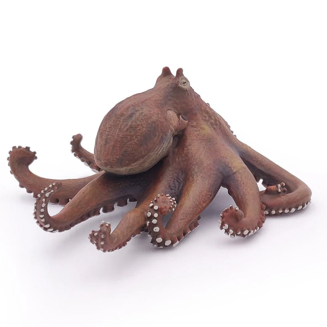 Octopus - Image 7