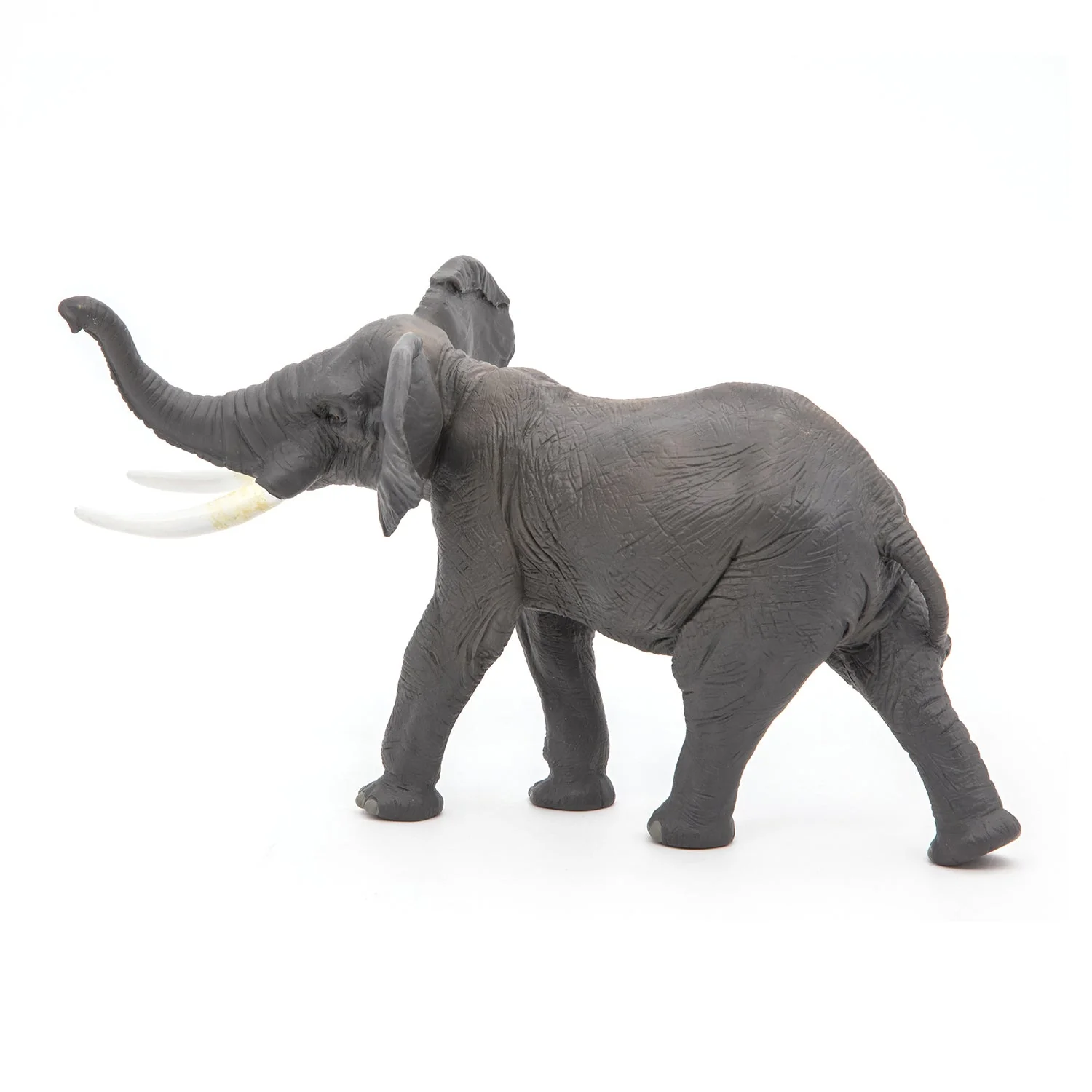 Olifant - Image 10