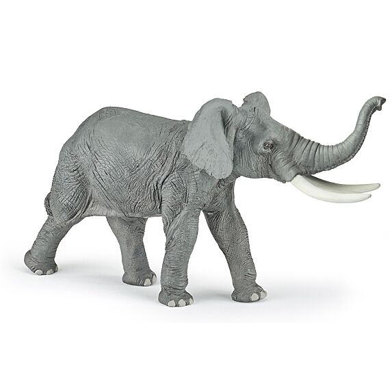 Olifant - Image 11