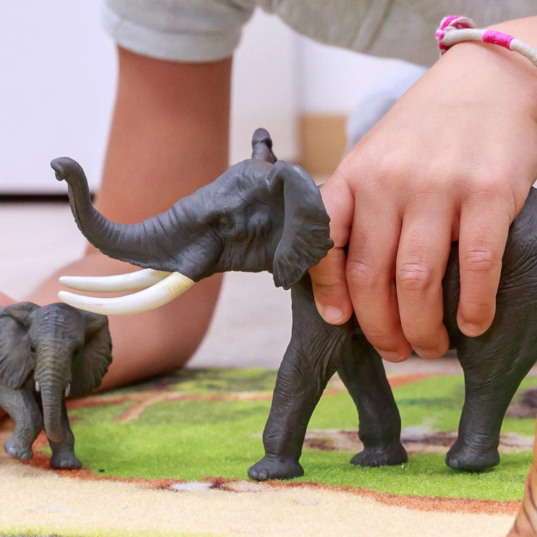 Olifant - Image 4