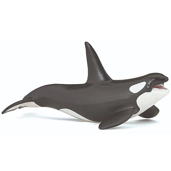 Orka - Image 10