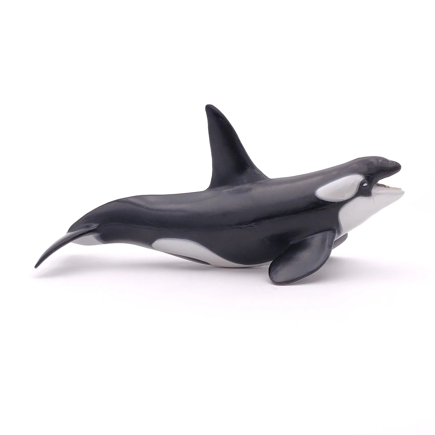 Orka - Image 3