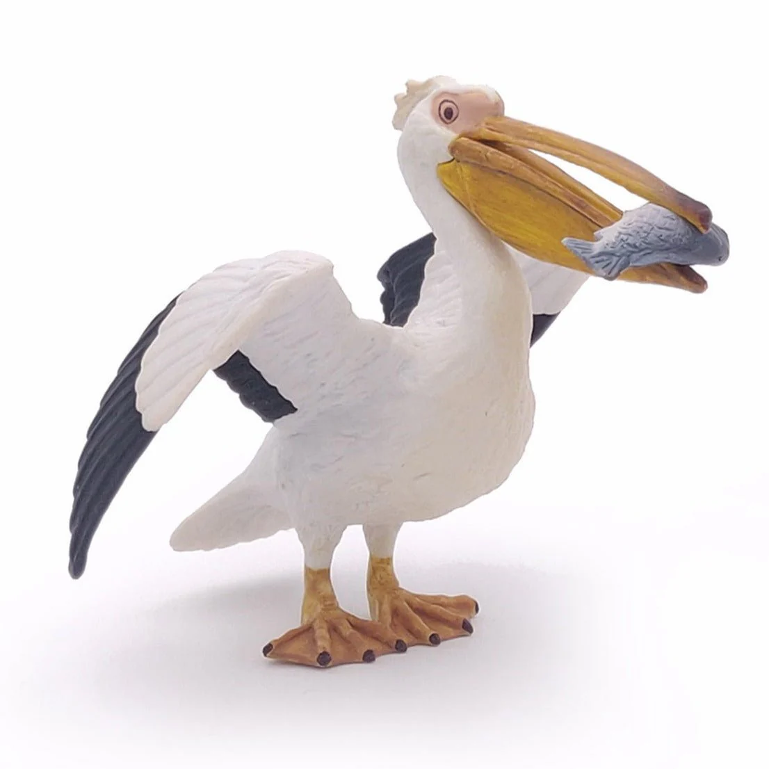 Pelikaan