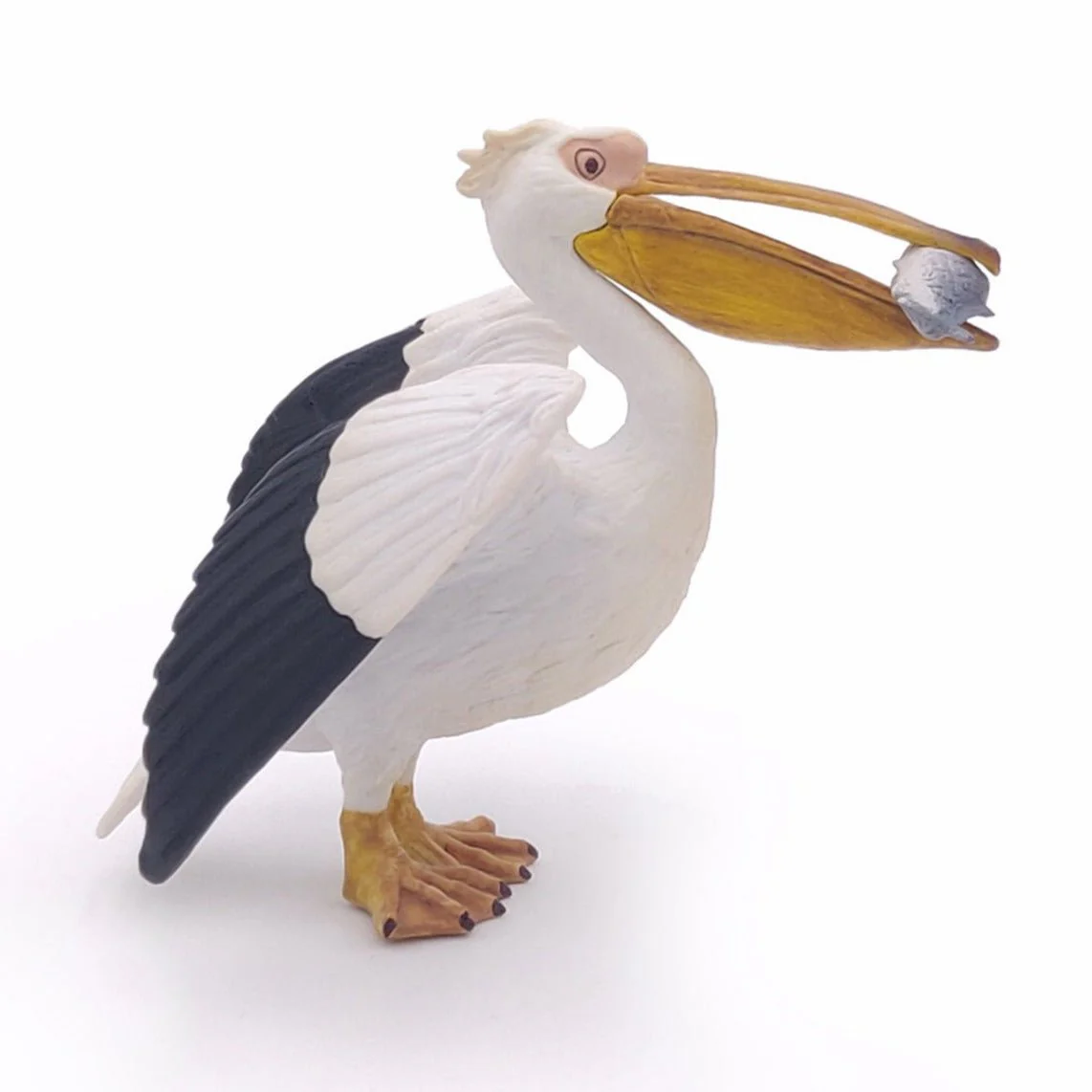 Pelikaan - Image 3