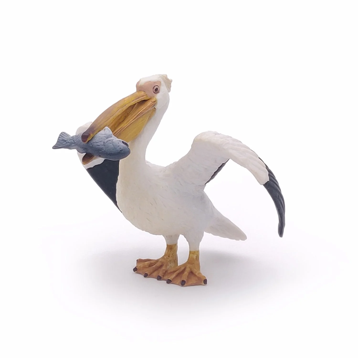 Pelikaan - Image 4